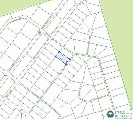 a view of a dry yard with trees