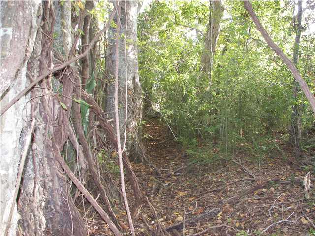 Braquet Road Carencro, LA 70520 - Photo 3 of 8 Additional Photo