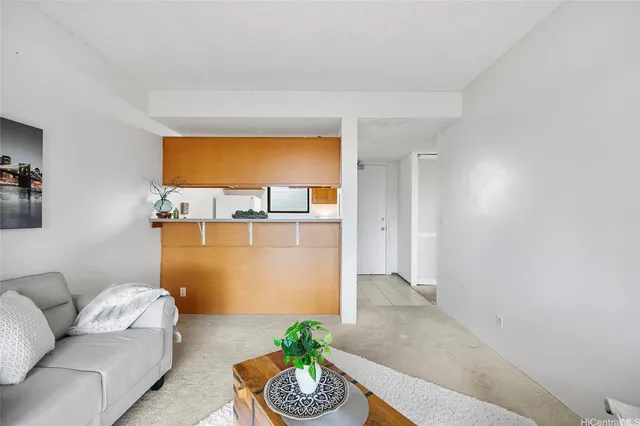 a living room with a couch and a potted plant