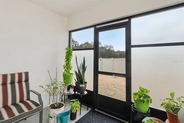 a view of a yard in front of a house with plants and large tree