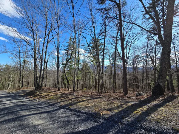 $90,000 | Lot 14 Wenlock Drive, Lexington, VA 24450