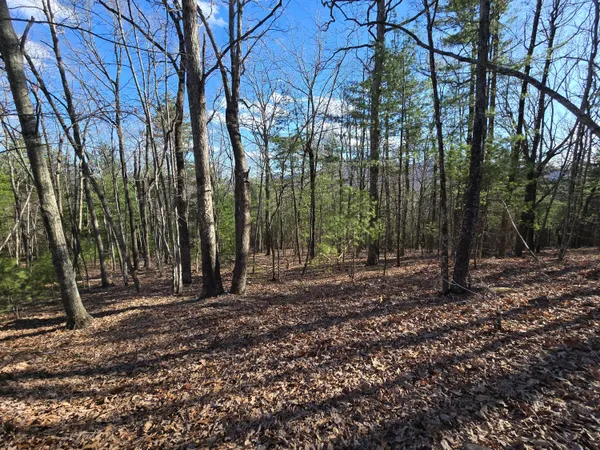 $90,000 | Lot 14 Wenlock Drive, Lexington, VA 24450