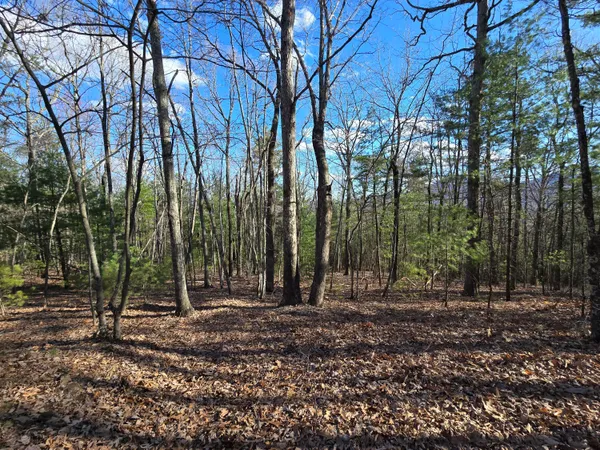 $90,000 | Lot 14 Wenlock Drive, Lexington, VA 24450