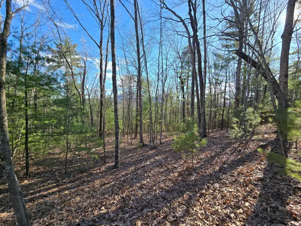 $90,000 | Lot 14 Wenlock Drive, Lexington, VA 24450