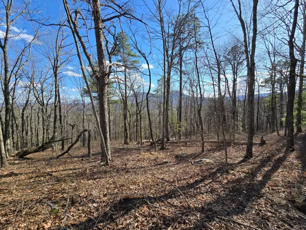 $90,000 | Lot 14 Wenlock Drive, Lexington, VA 24450