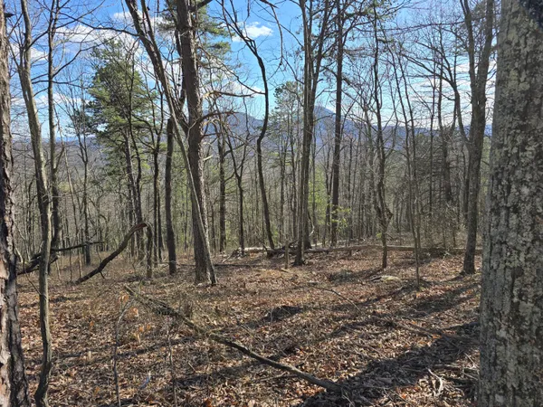 $90,000 | Lot 14 Wenlock Drive, Lexington, VA 24450