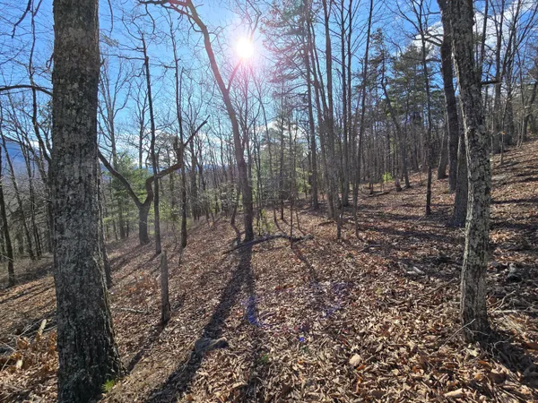 $90,000 | Lot 14 Wenlock Drive, Lexington, VA 24450