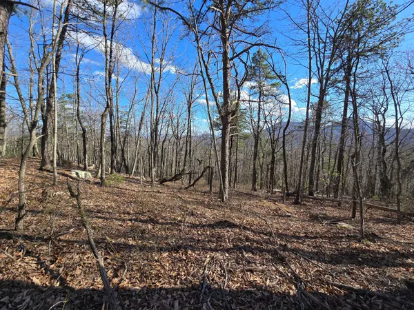 $90,000 | Lot 14 Wenlock Drive, Lexington, VA 24450