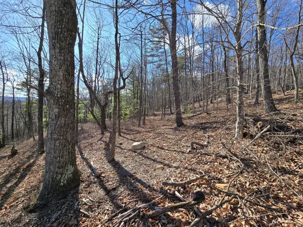 $90,000 | Lot 14 Wenlock Drive, Lexington, VA 24450