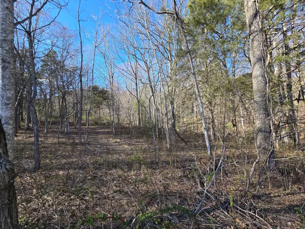 $90,000 | Lot 14 Wenlock Drive, Lexington, VA 24450