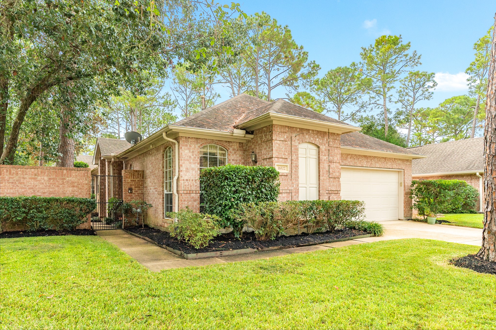 a view of backyard with a garden and plants