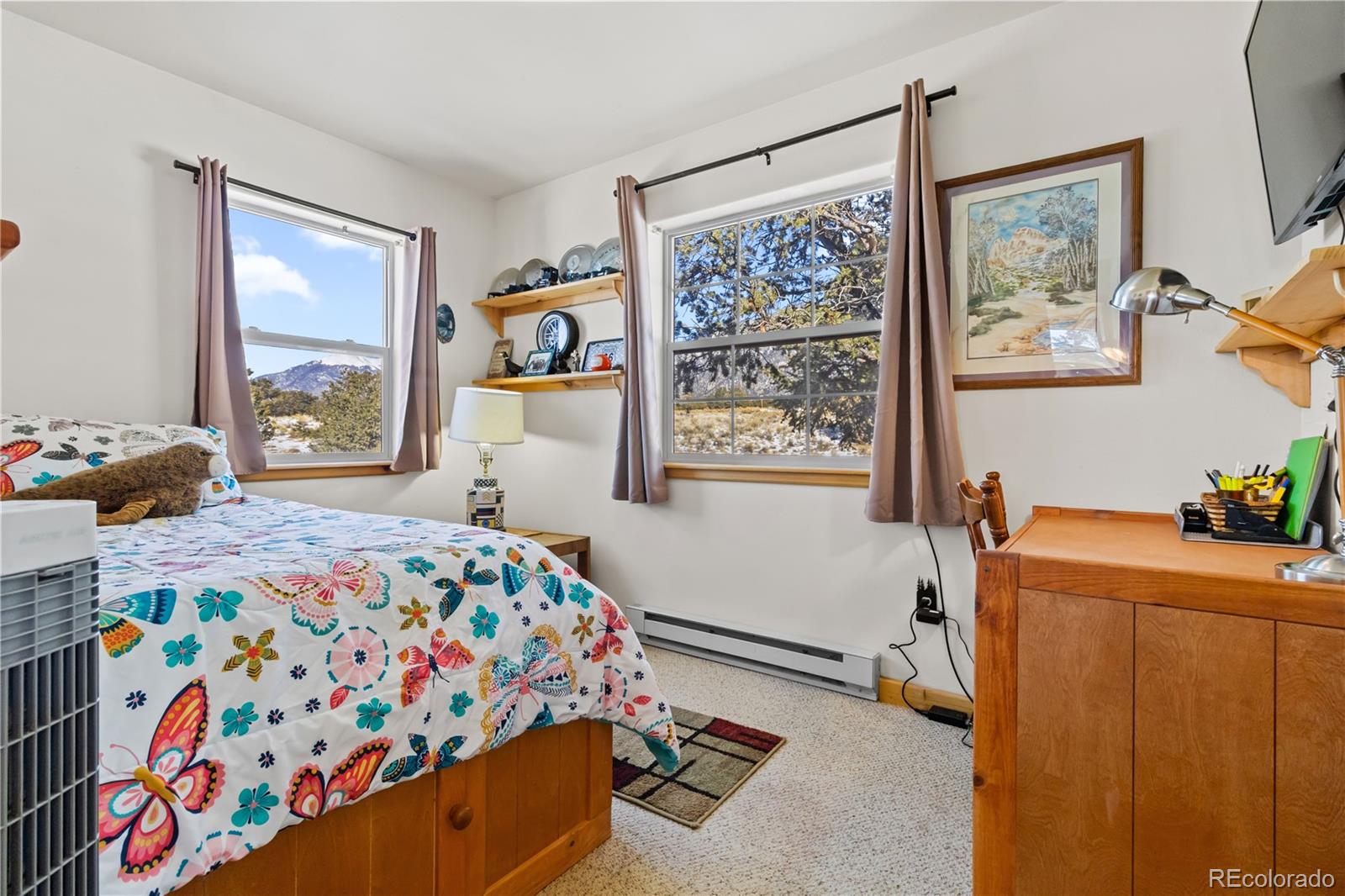 1419 East Badger Road Crestone, CO 81131 - Photo 32 of 41