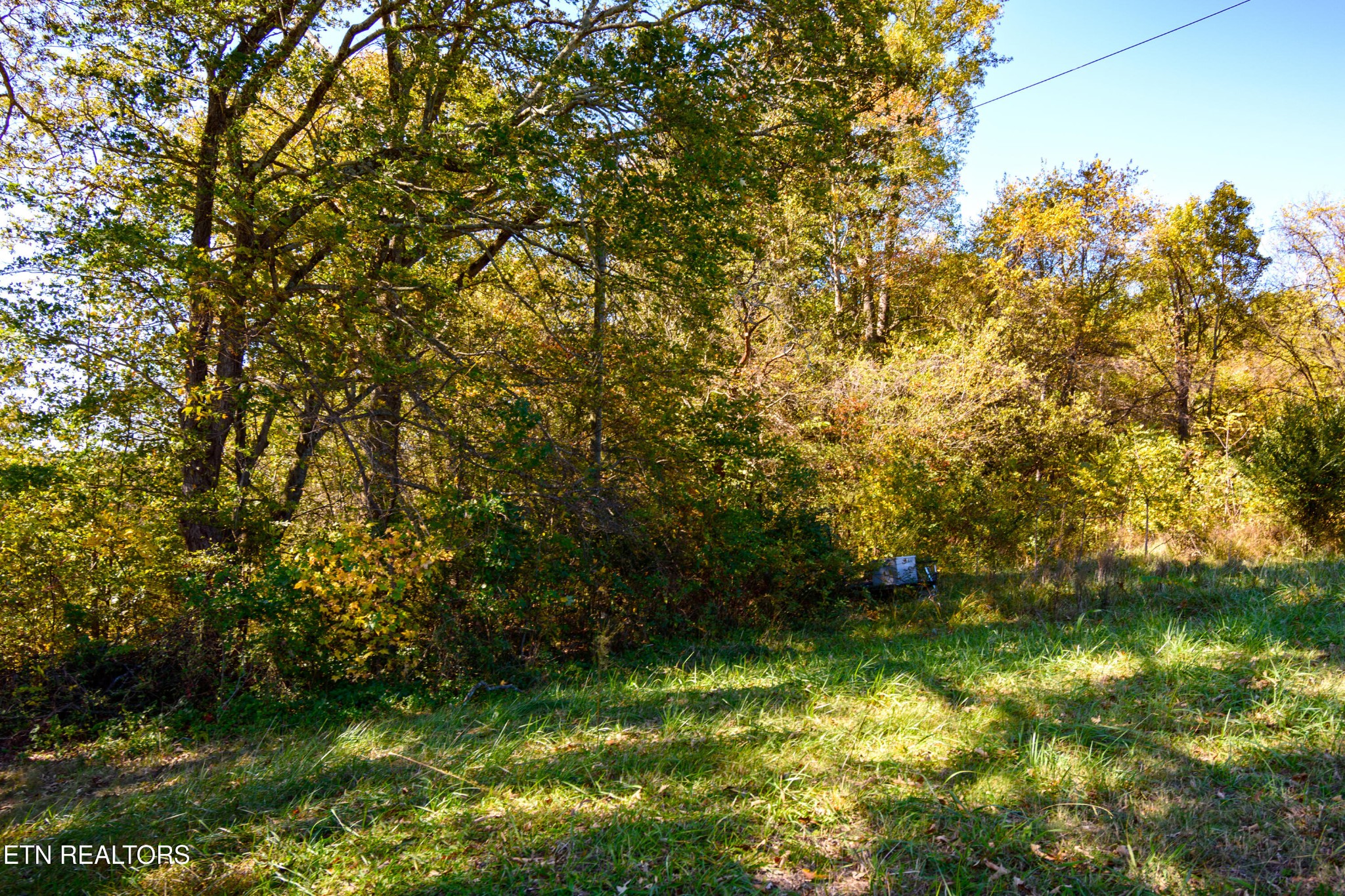 2 Beard Road Strawberry Plains, TN 37871 - Photo 6 of 23 Gallery Image 6