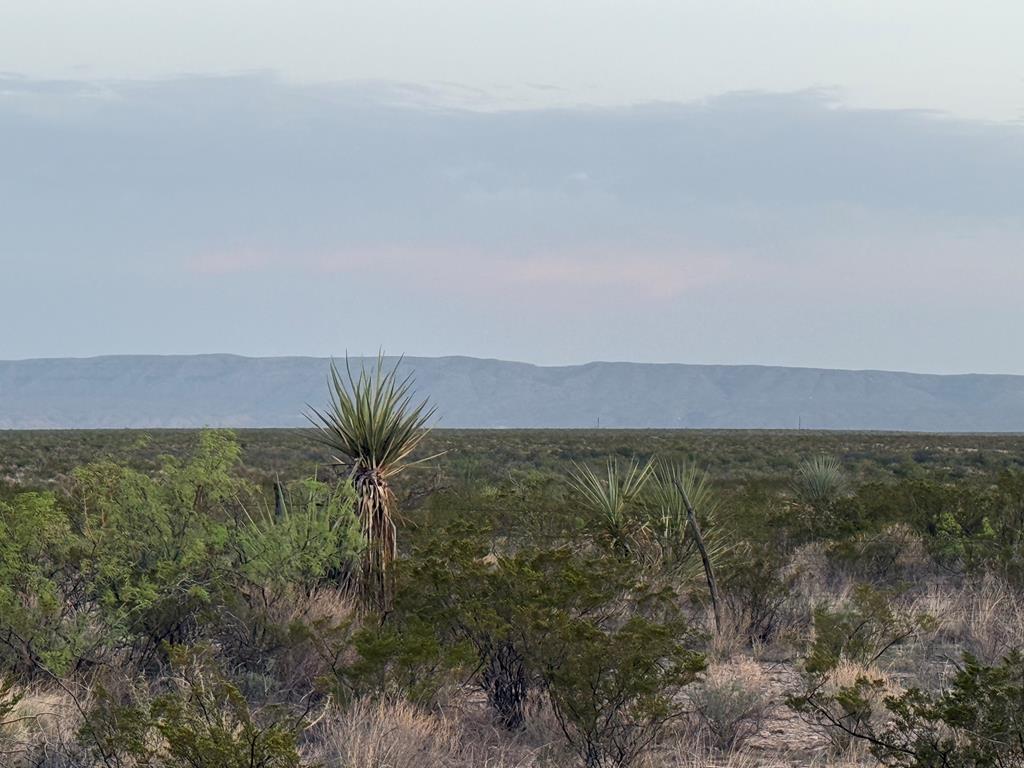0 Valley View Road Dryden, TX 78851 - Photo 1 of 23 Main View