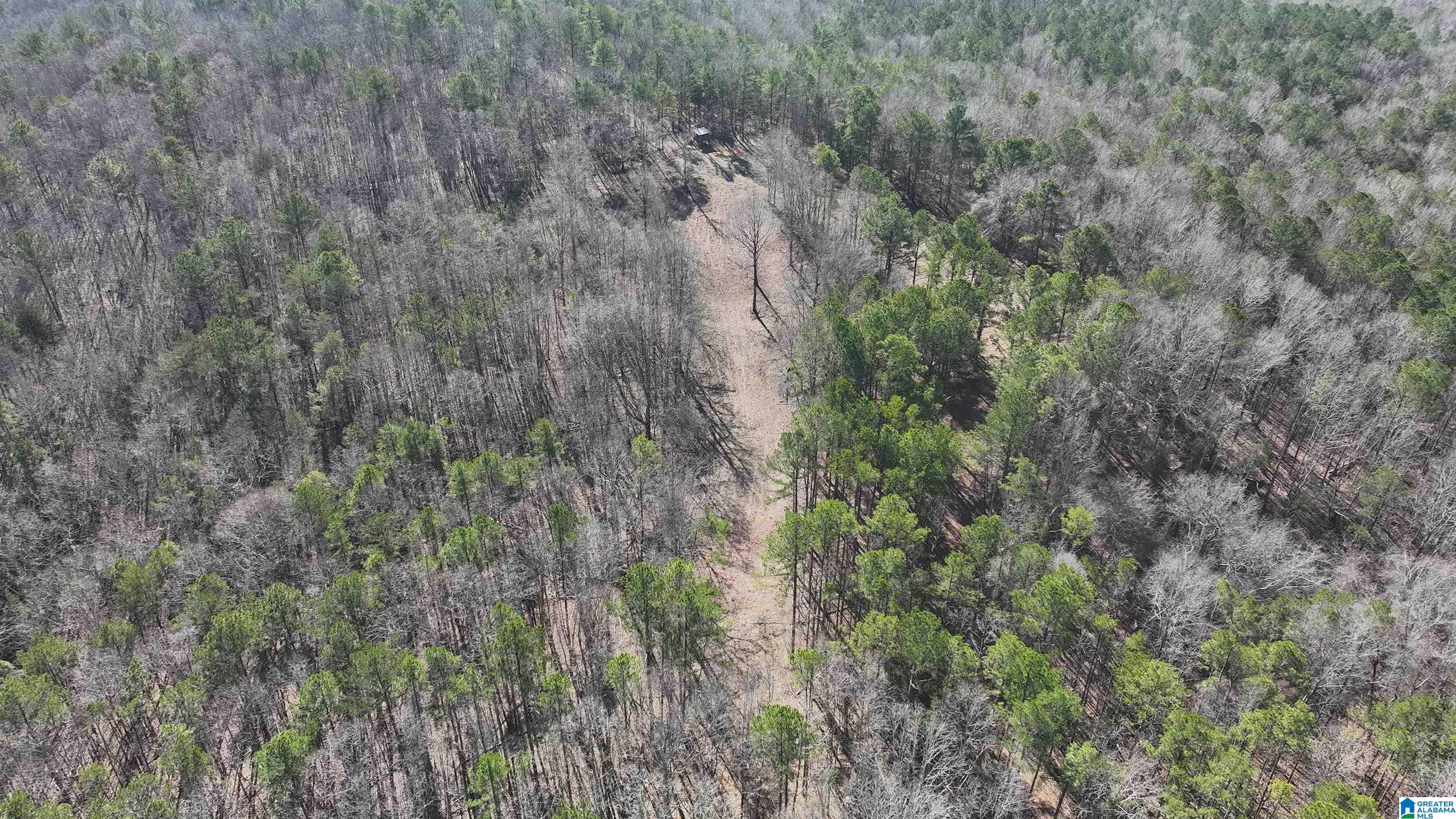 6171 Highway 102, Unit 1 Fayette, AL 35555 - Photo 33 of 68