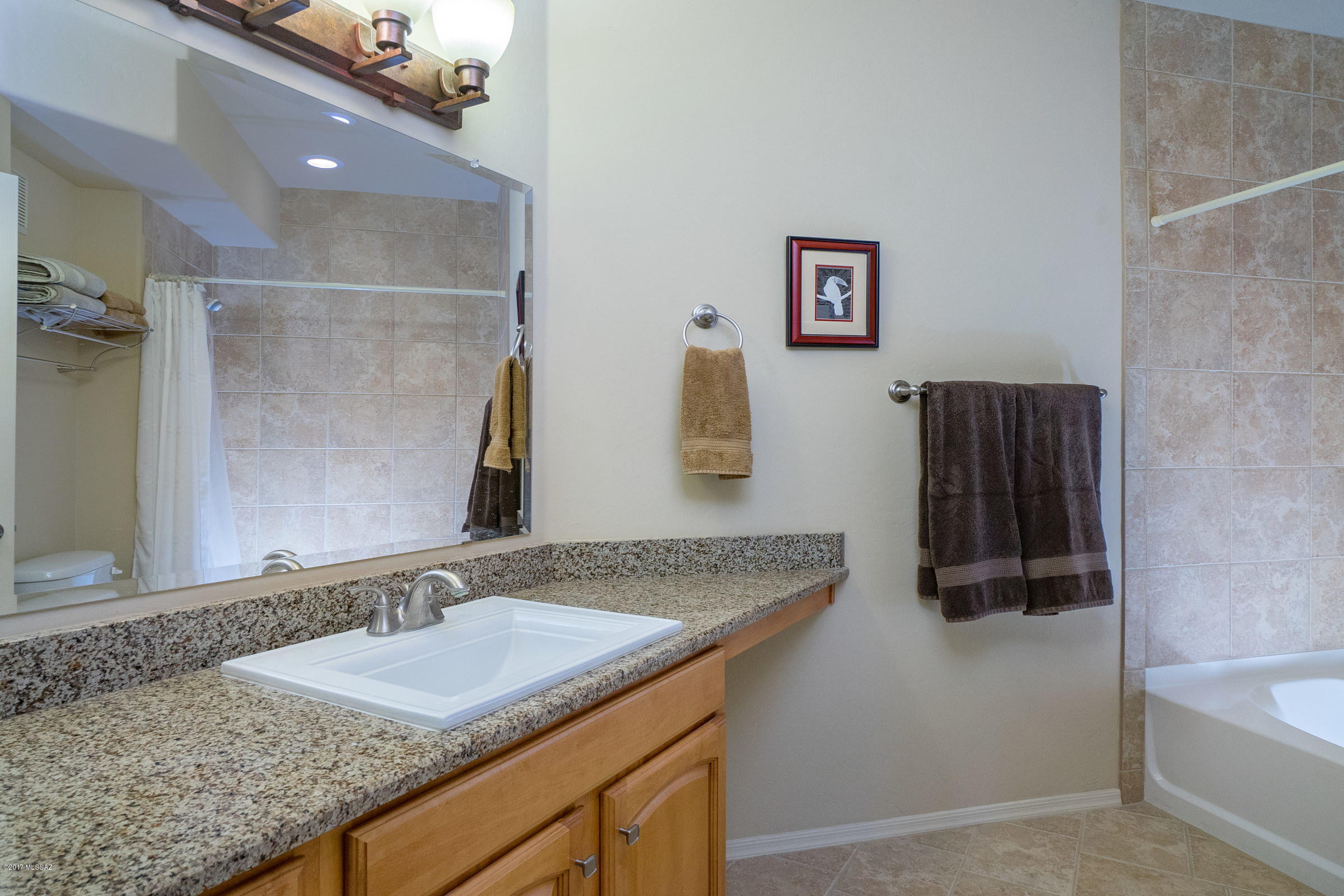 2550 East River Road, Unit 15203 Tucson, AZ 85718 - Photo 11 of 19