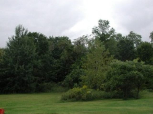 0 Ellsworth Road Queensbury, NY 12804 - Photo 1 of 4 Photo 1