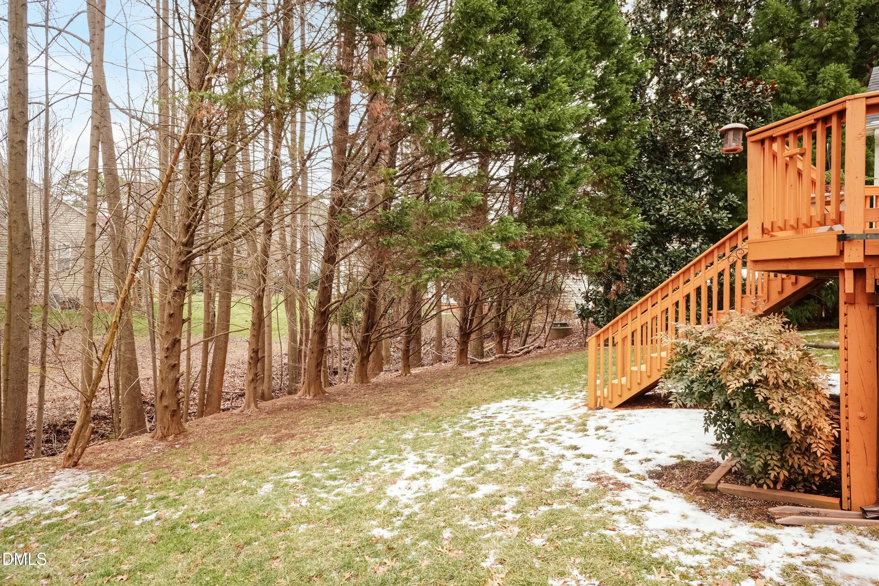5525 Rush Springs Court Raleigh, NC 27617 - Photo 38 of 43 Back Yard 01
