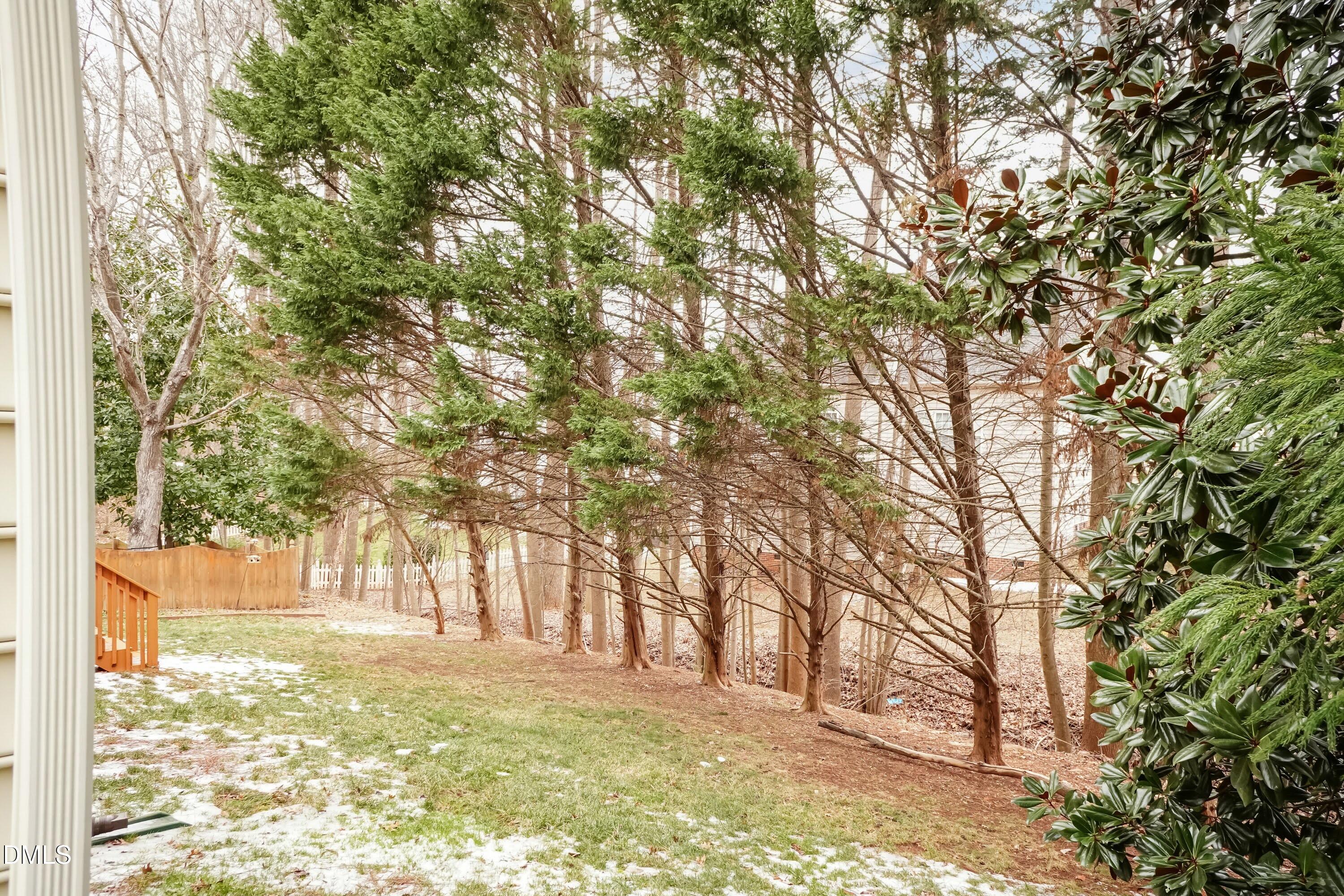 5525 Rush Springs Court Raleigh, NC 27617 - Photo 42 of 43 Back Yard 02