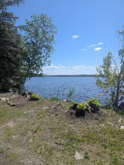 114 Plunkett Pond Road Benedicta, ME 04733 - Photo 13 of 53 22