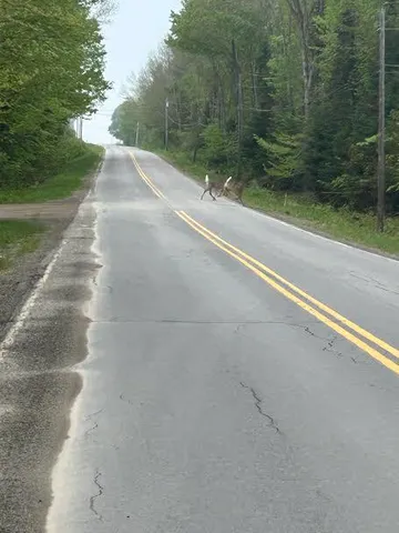 $299,900 | 114 Plunkett Pond Road, Benedicta, ME 04733