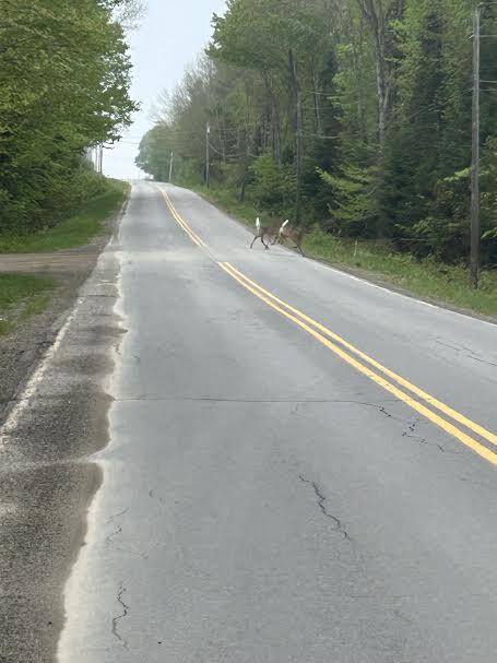 114 Plunkett Pond Road Benedicta, ME 04733 - Photo 50 of 53 12