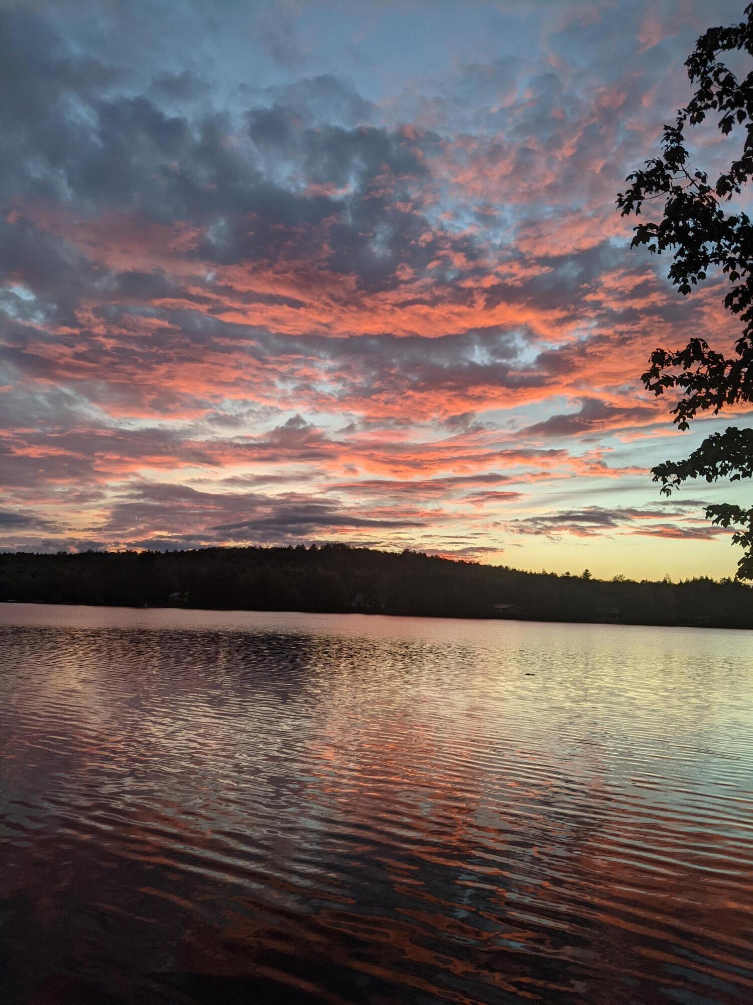 114 Plunkett Pond Road Benedicta, ME 04733 - Photo 9 of 53 4