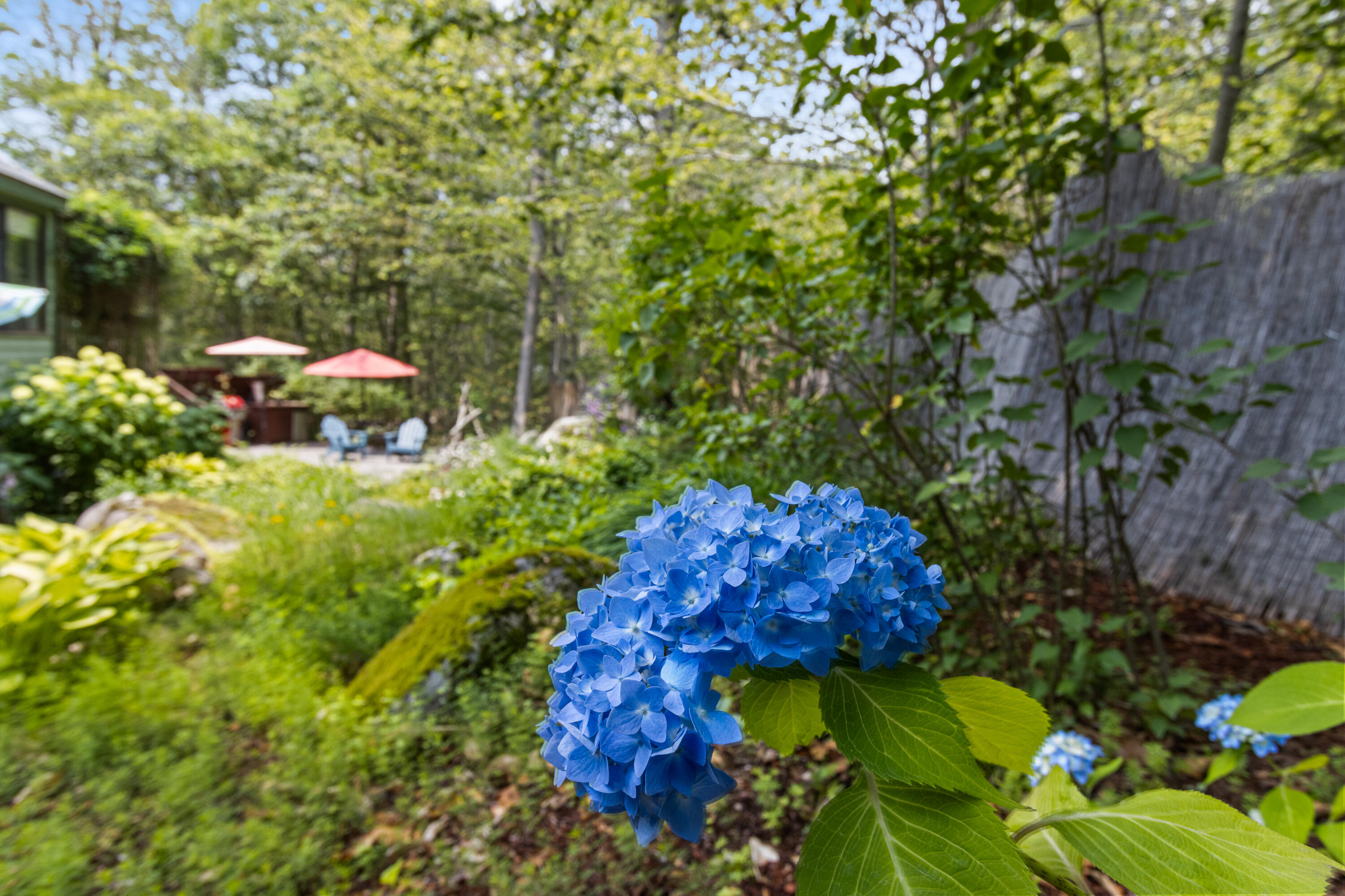6 North Beach Road Frye Island, ME 04084 - Photo 57 of 62 20250703EM-72061