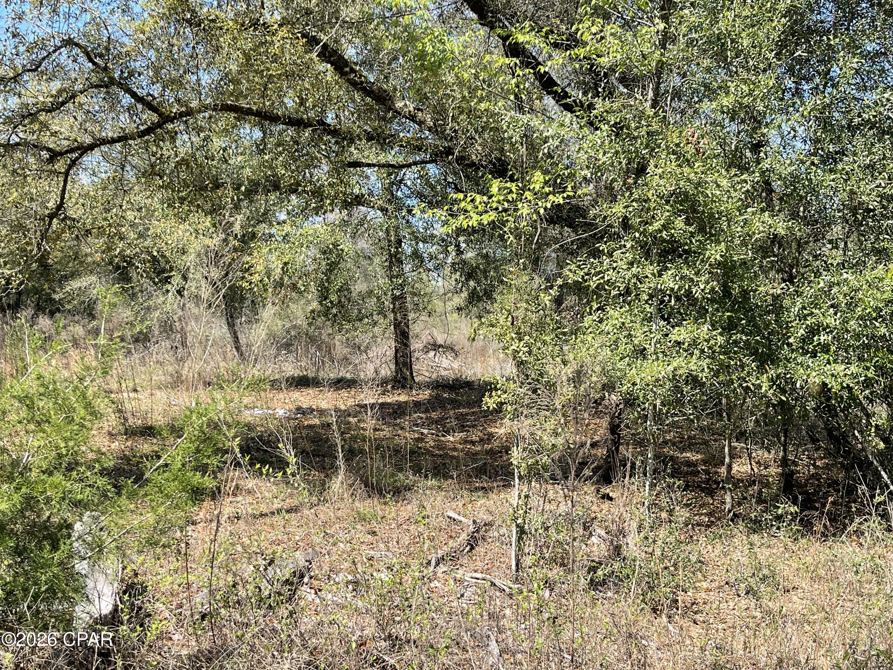 0 Speights Way Bascom, FL 32423 - Photo 2 of 9