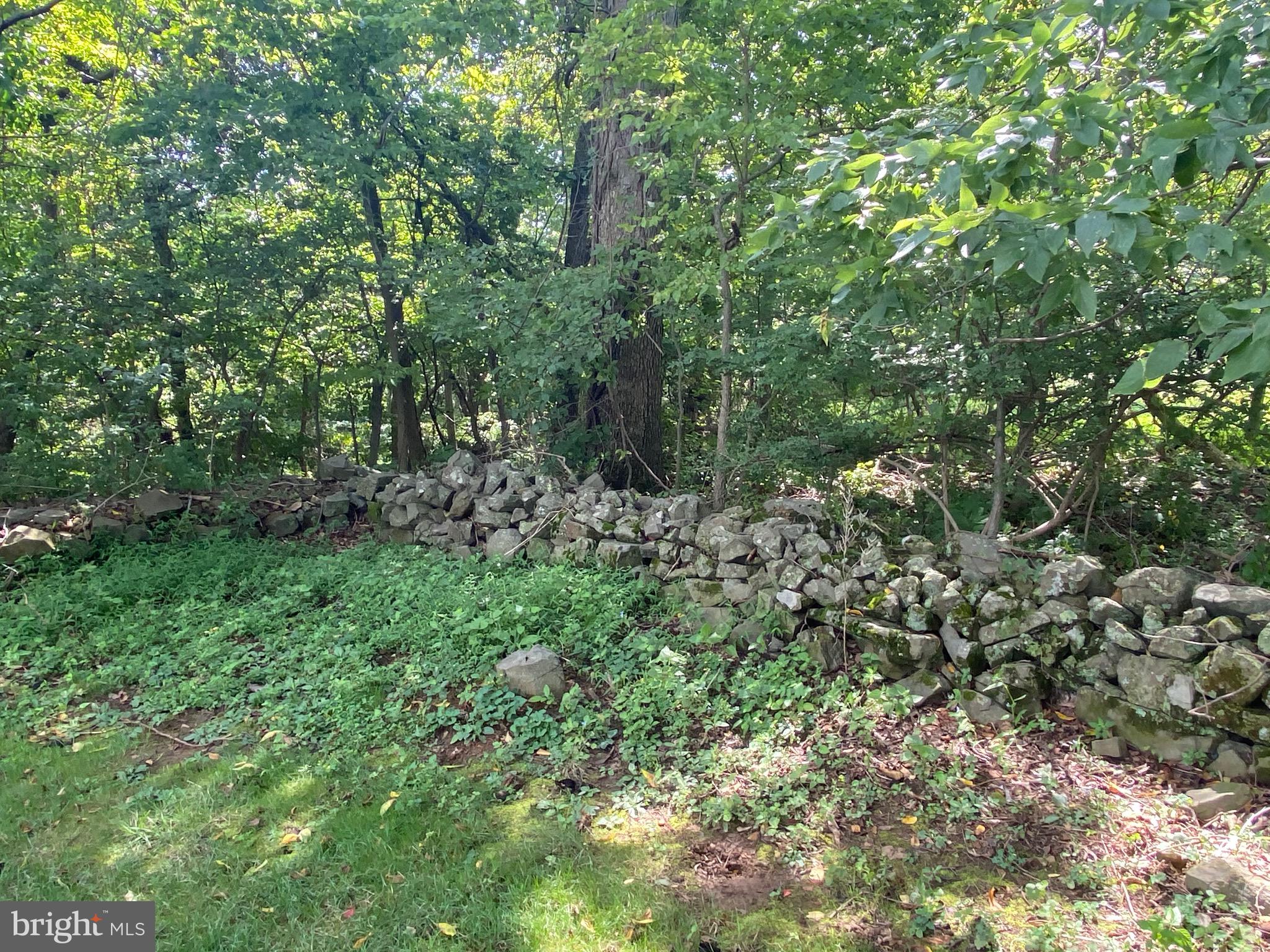 2109 Sand Hill Road Hershey, PA 17033 - Photo 30 of 87 Gallery Image 30