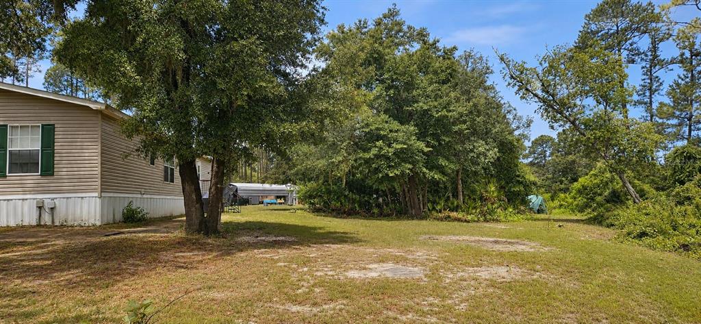 11005 Southeast 165th Terrace Road Ocklawaha, FL 32179 - Photo 20 of 22
