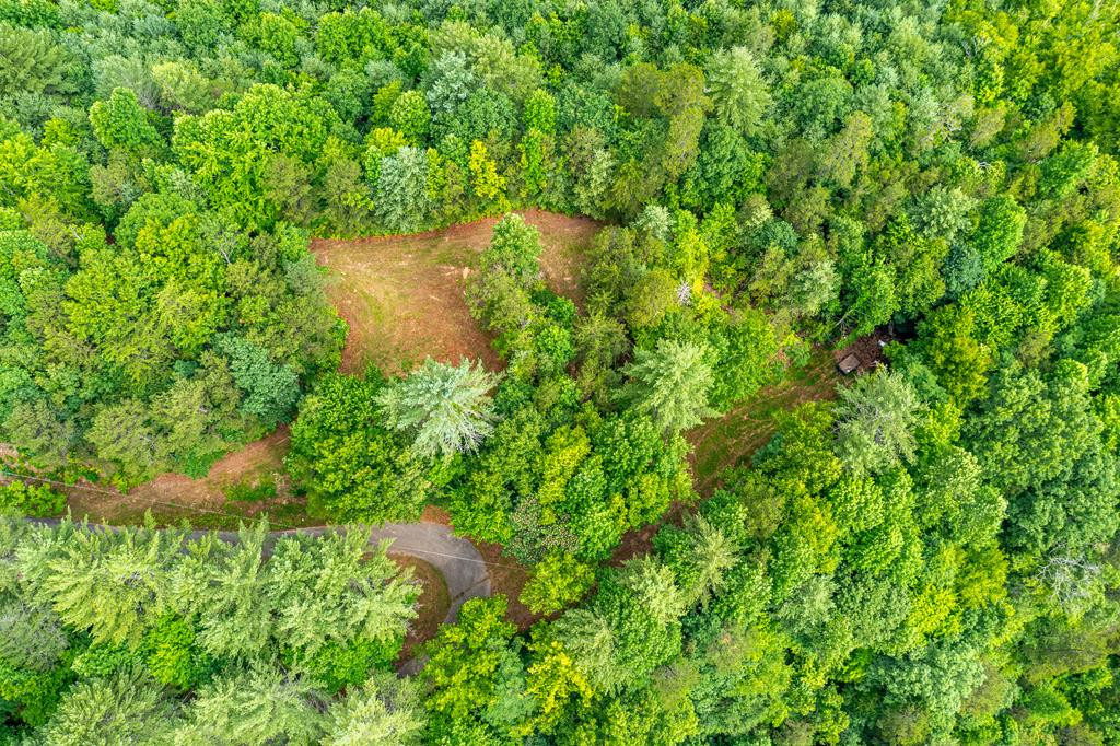 2201 Andrews Road Murphy, NC 28906 - Photo 4 of 13