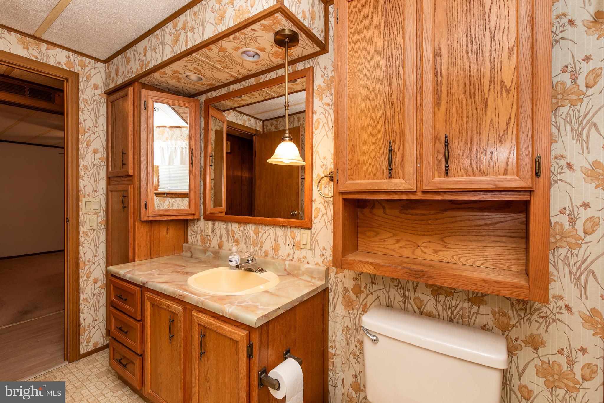 453 Priscilla Lane Buena, NJ 08310 - Photo 27 of 52 a bathroom with a sink and a mirror