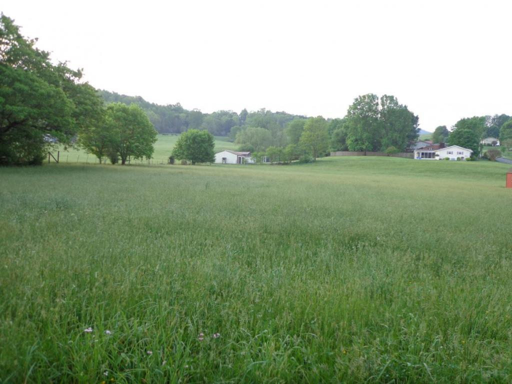 Lot 2 Rex Harrell Road Elizabethton, TN 37643 - Photo 1 of 1 Photo 1