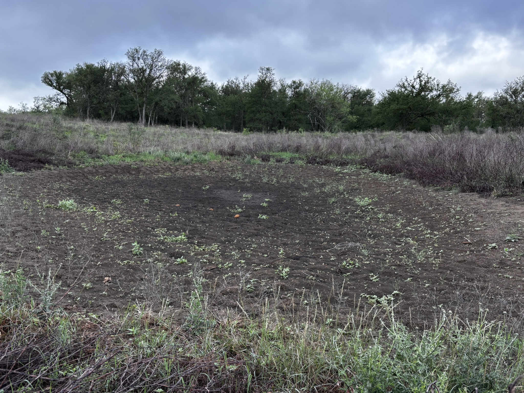 683 County Road 467 Elgin, TX 78621 - Photo 16 of 26 Expansive open field with partial ground cover, bordered by mature trees