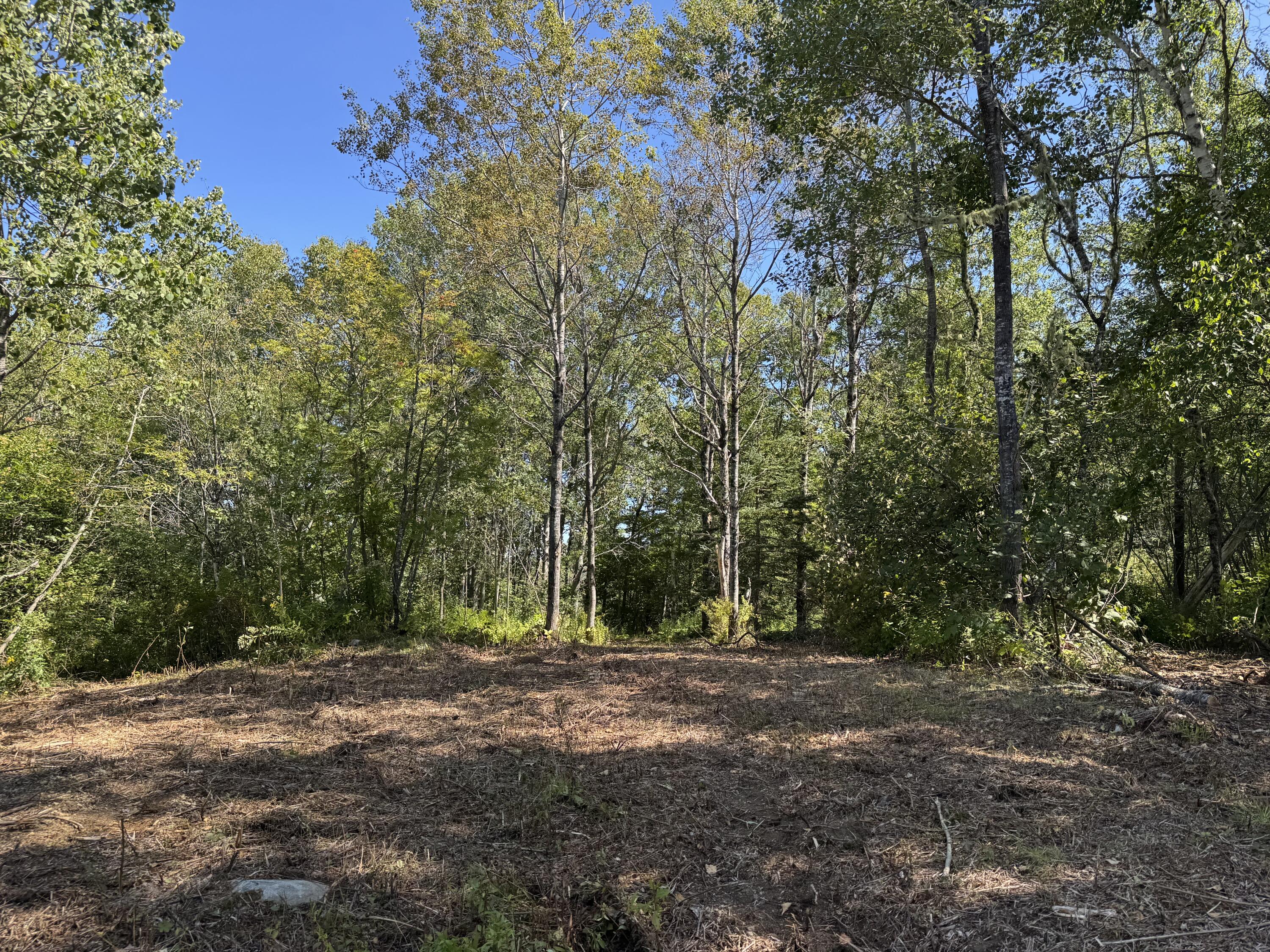 Lot 102.1 Dixie Road Lubec, ME 04652 - Photo 8 of 11 Top of Access #2