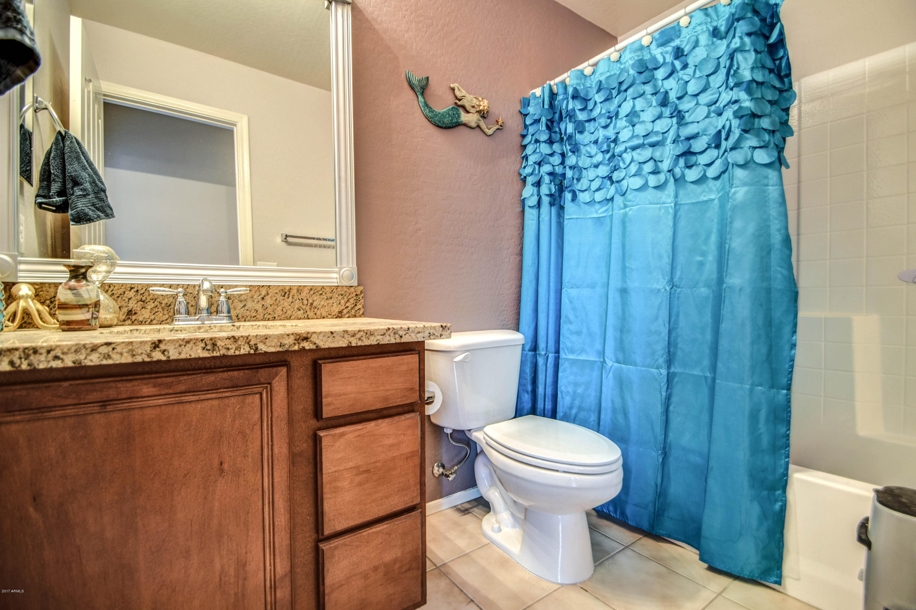 1706 South Martingale Road Gilbert, AZ 85295 - Photo 33 of 57 Bath 2, 1