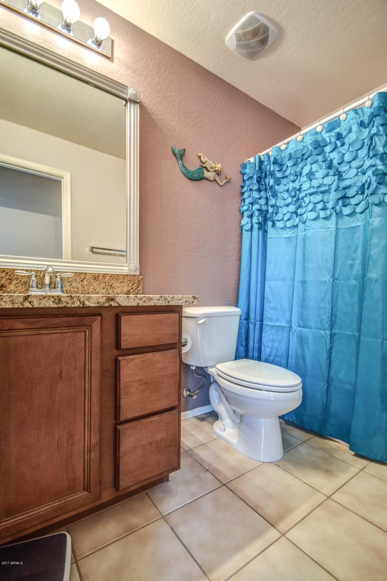1706 South Martingale Road Gilbert, AZ 85295 - Photo 34 of 57 Bath 2, 2