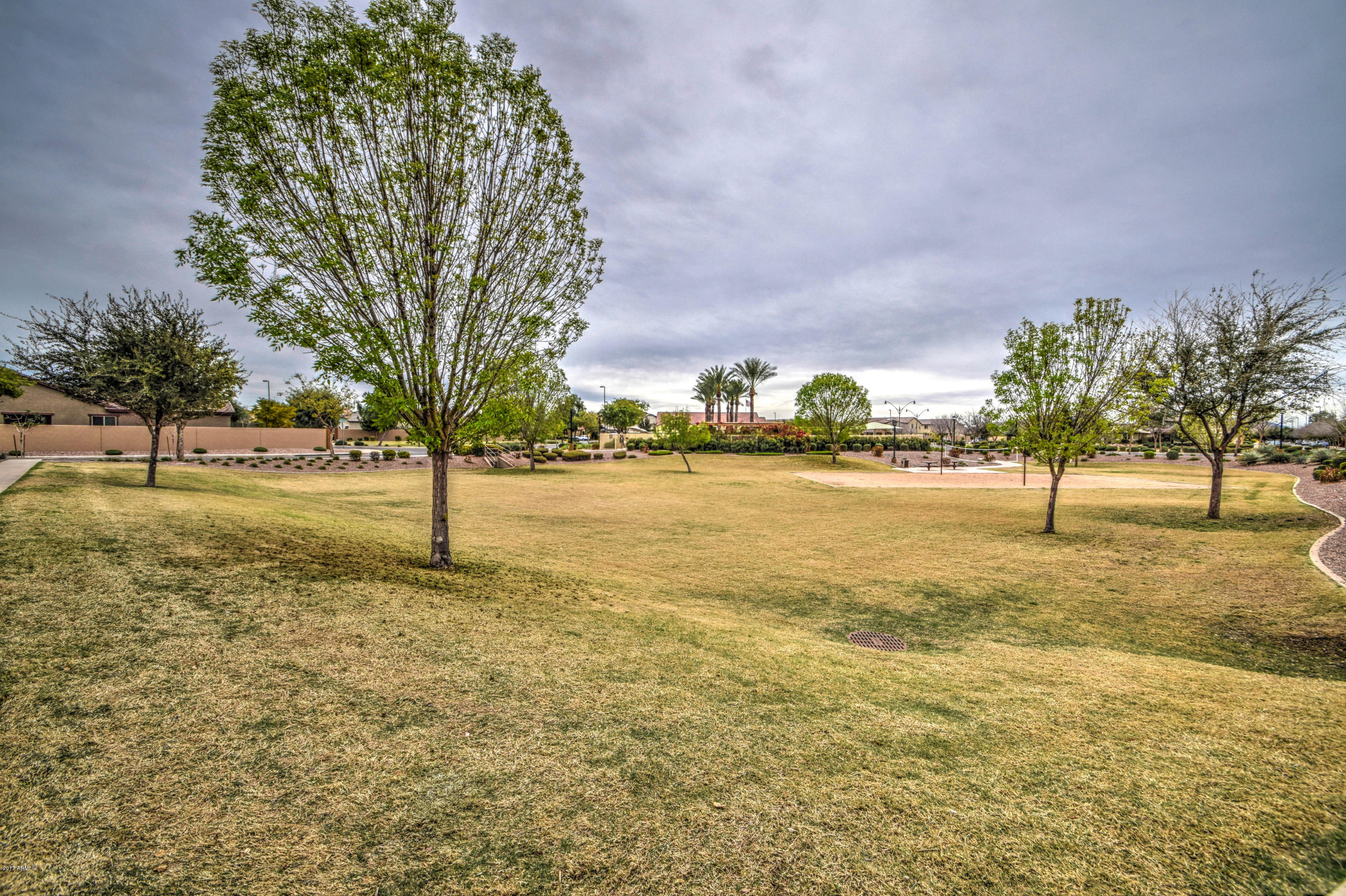1706 South Martingale Road Gilbert, AZ 85295 - Photo 56 of 57 Community 1