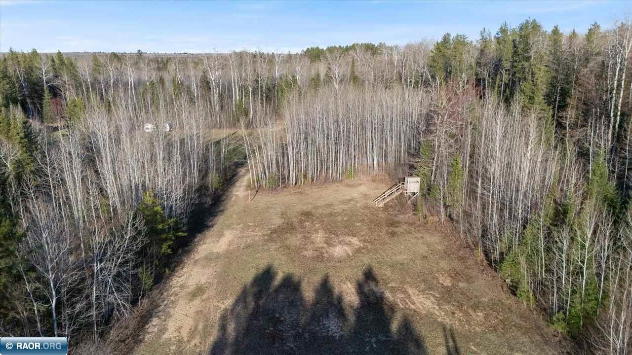 13073 Snake Trail Cook, MN 55723 - Photo 12 of 21