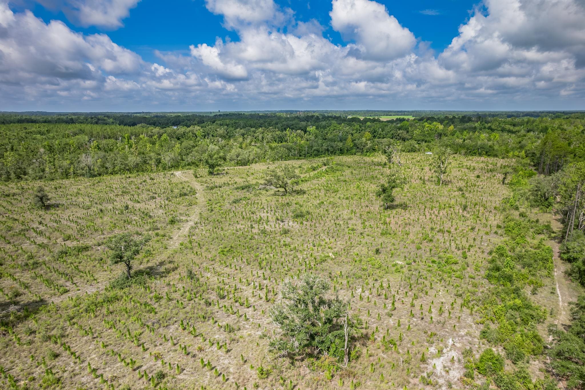 Xxx Northeast Hickory Grove Road Pinetta, FL 32350 - Photo 15 of 32