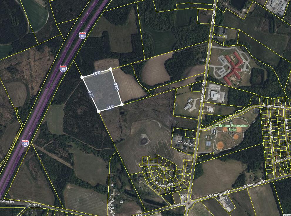 0 Raccoon Road Manning, SC 29102 - Photo 1 of 9 Aerial