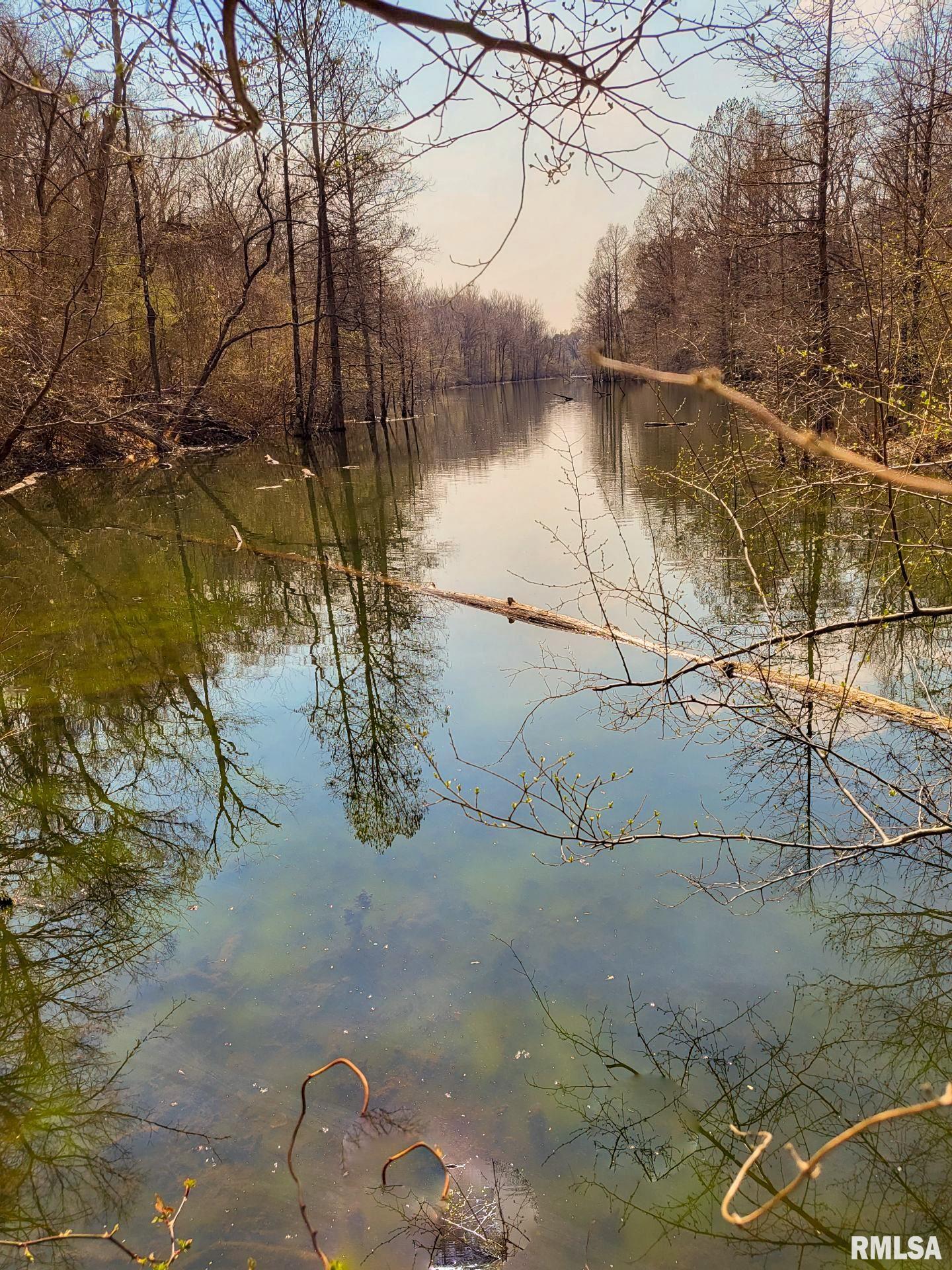 0 Buffalo Lick Road Marion, IL 62959 - Photo 1 of 12