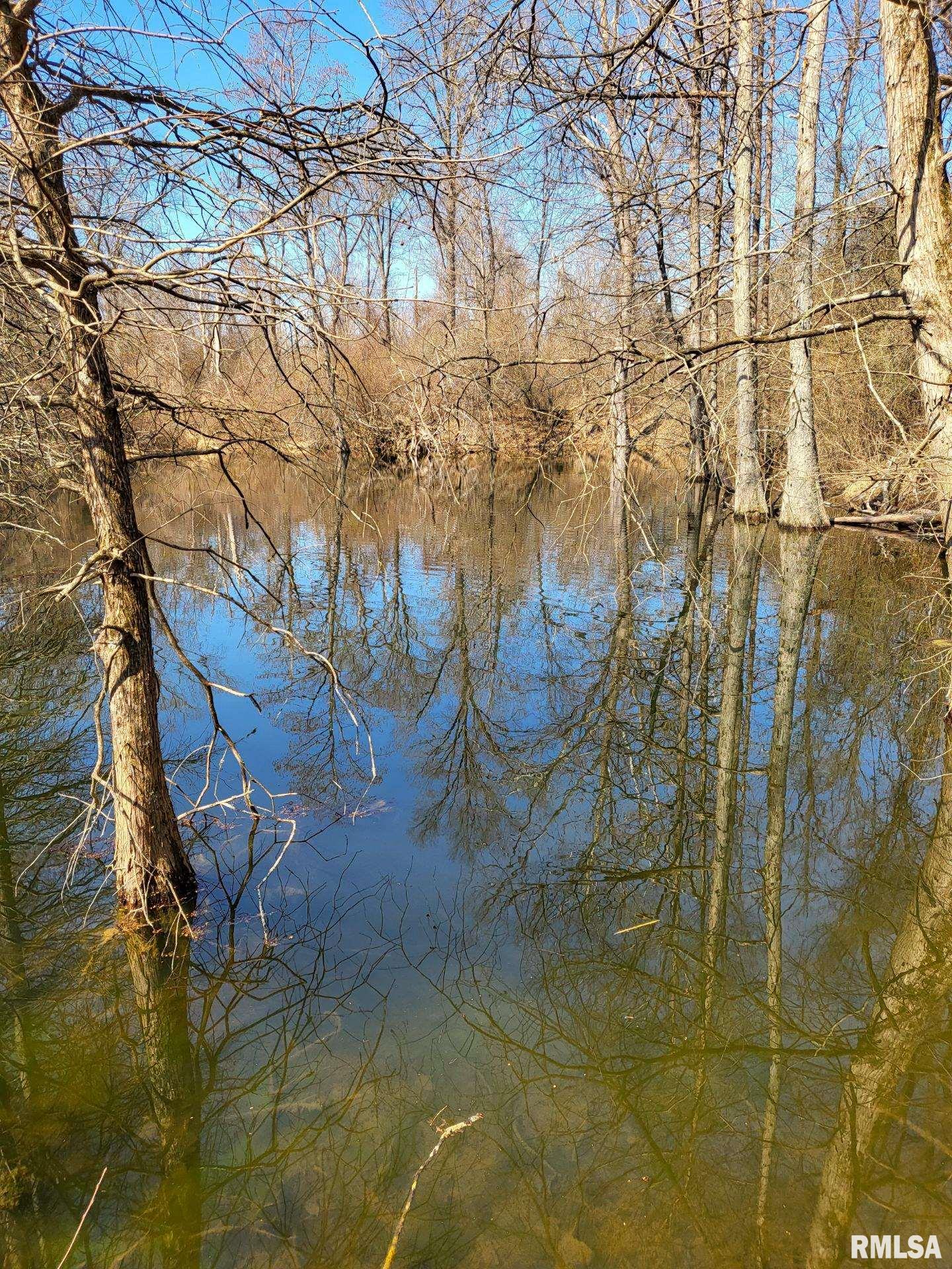 0 Buffalo Lick Road Marion, IL 62959 - Photo 11 of 12