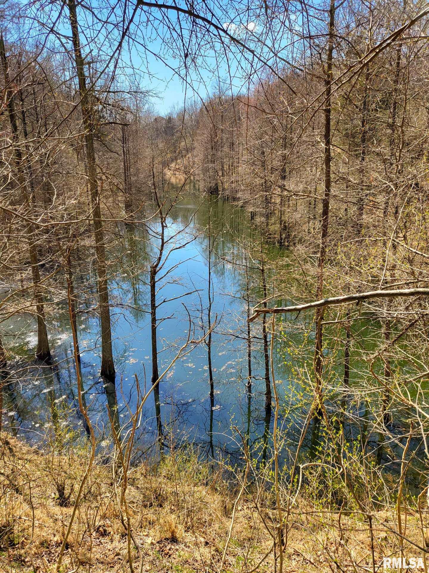 0 Buffalo Lick Road Marion, IL 62959 - Photo 12 of 12