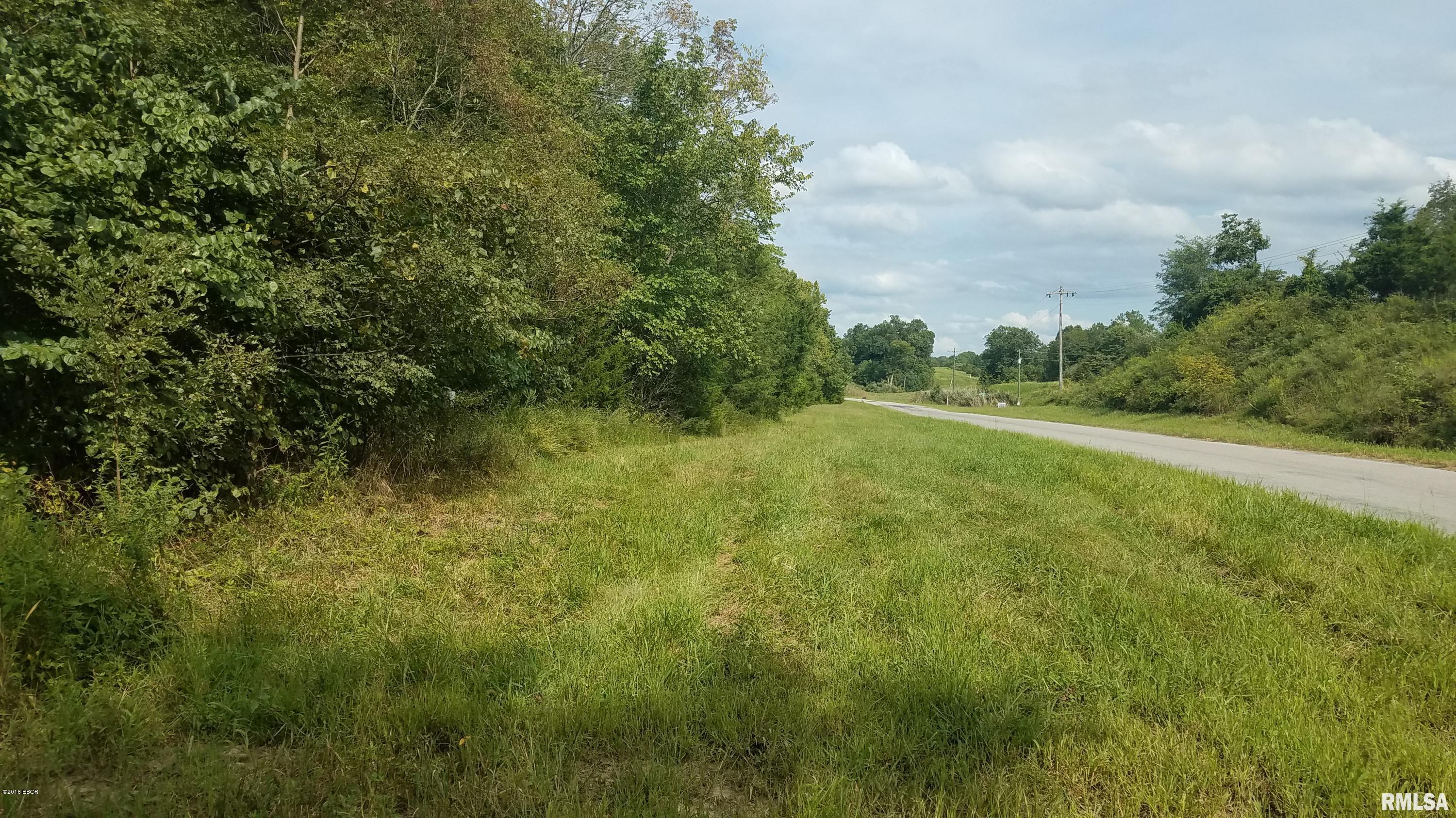 0 Buffalo Lick Road Marion, IL 62959 - Photo 2 of 12