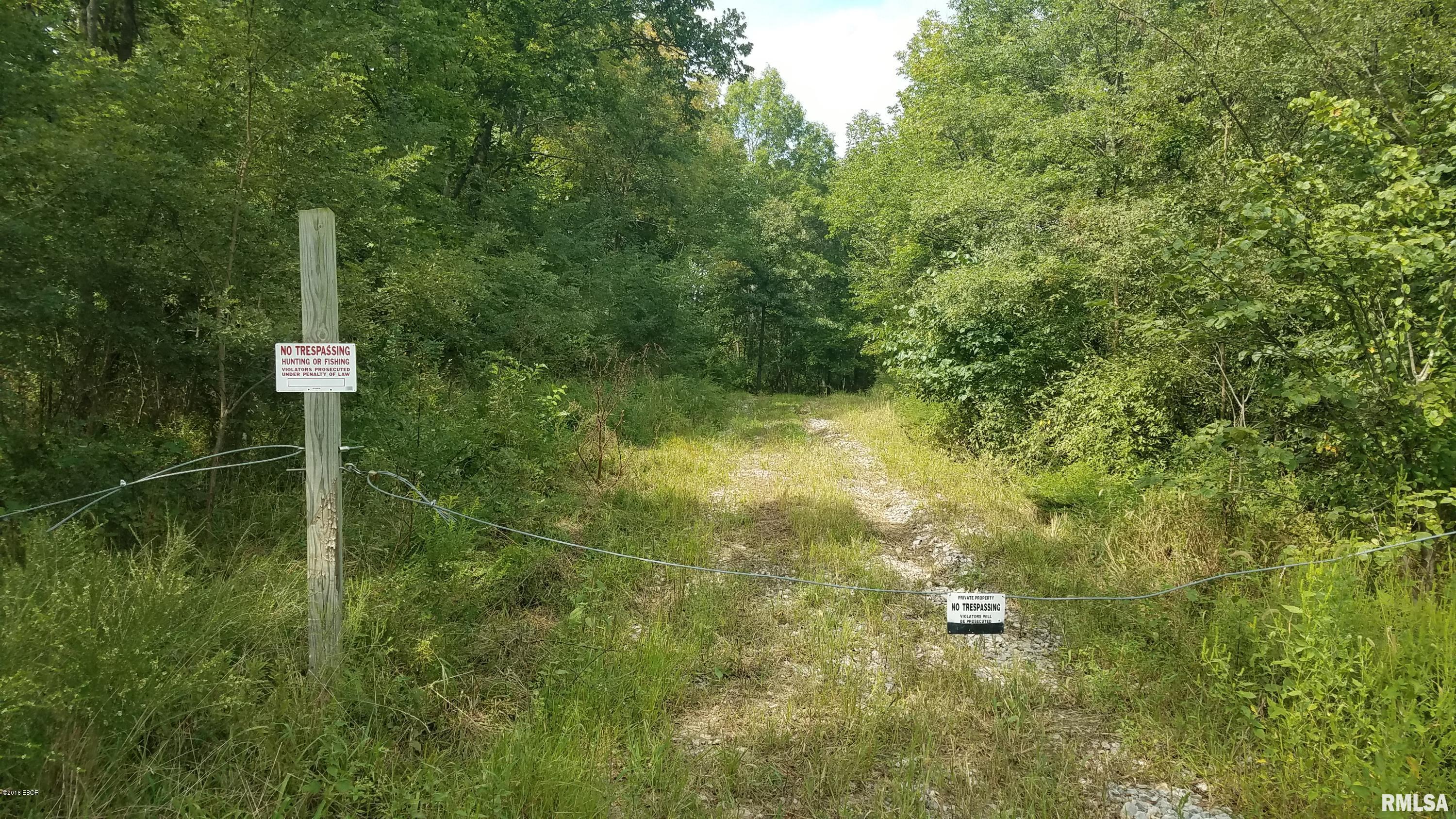 0 Buffalo Lick Road Marion, IL 62959 - Photo 3 of 12