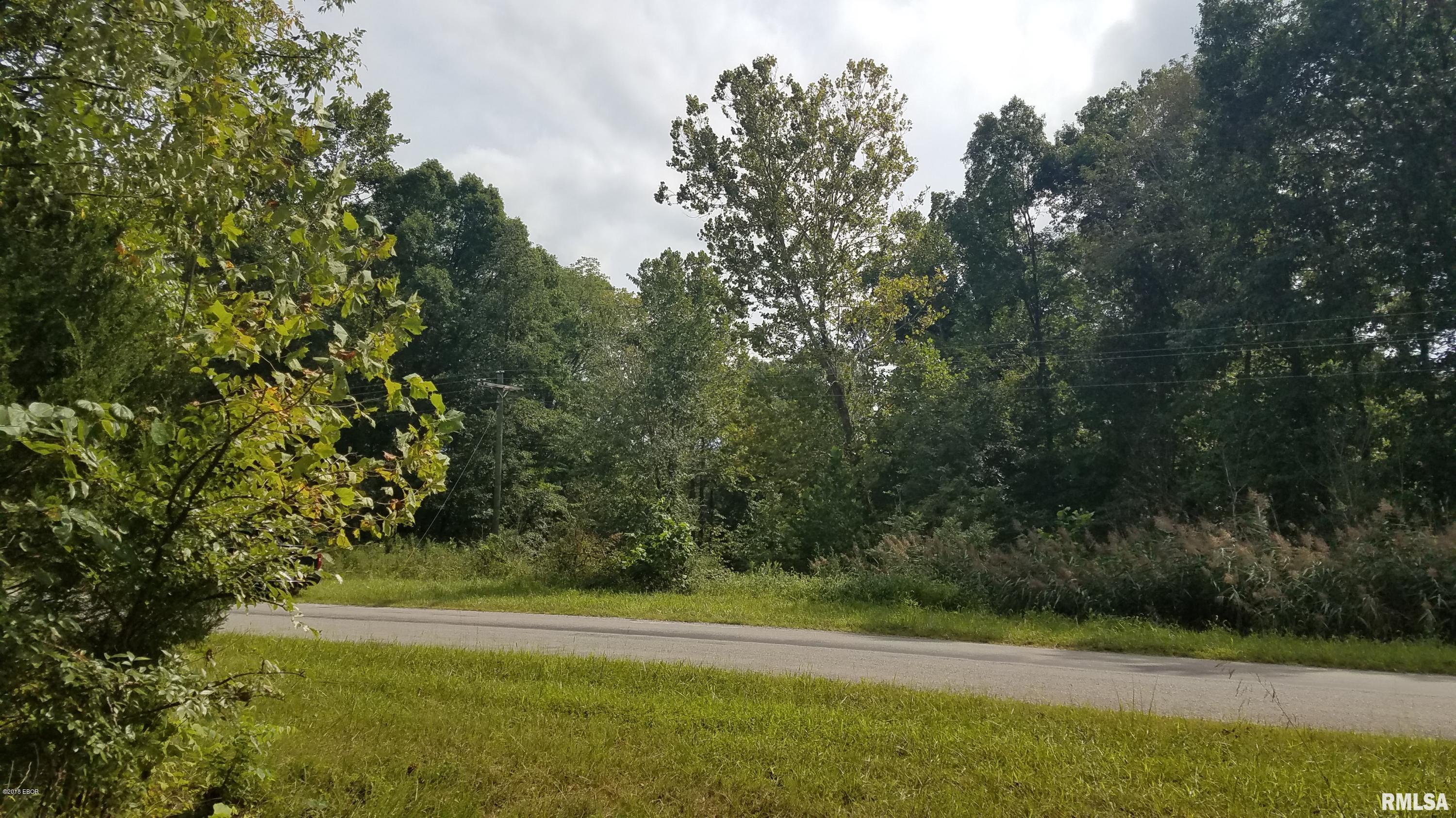 0 Buffalo Lick Road Marion, IL 62959 - Photo 5 of 12