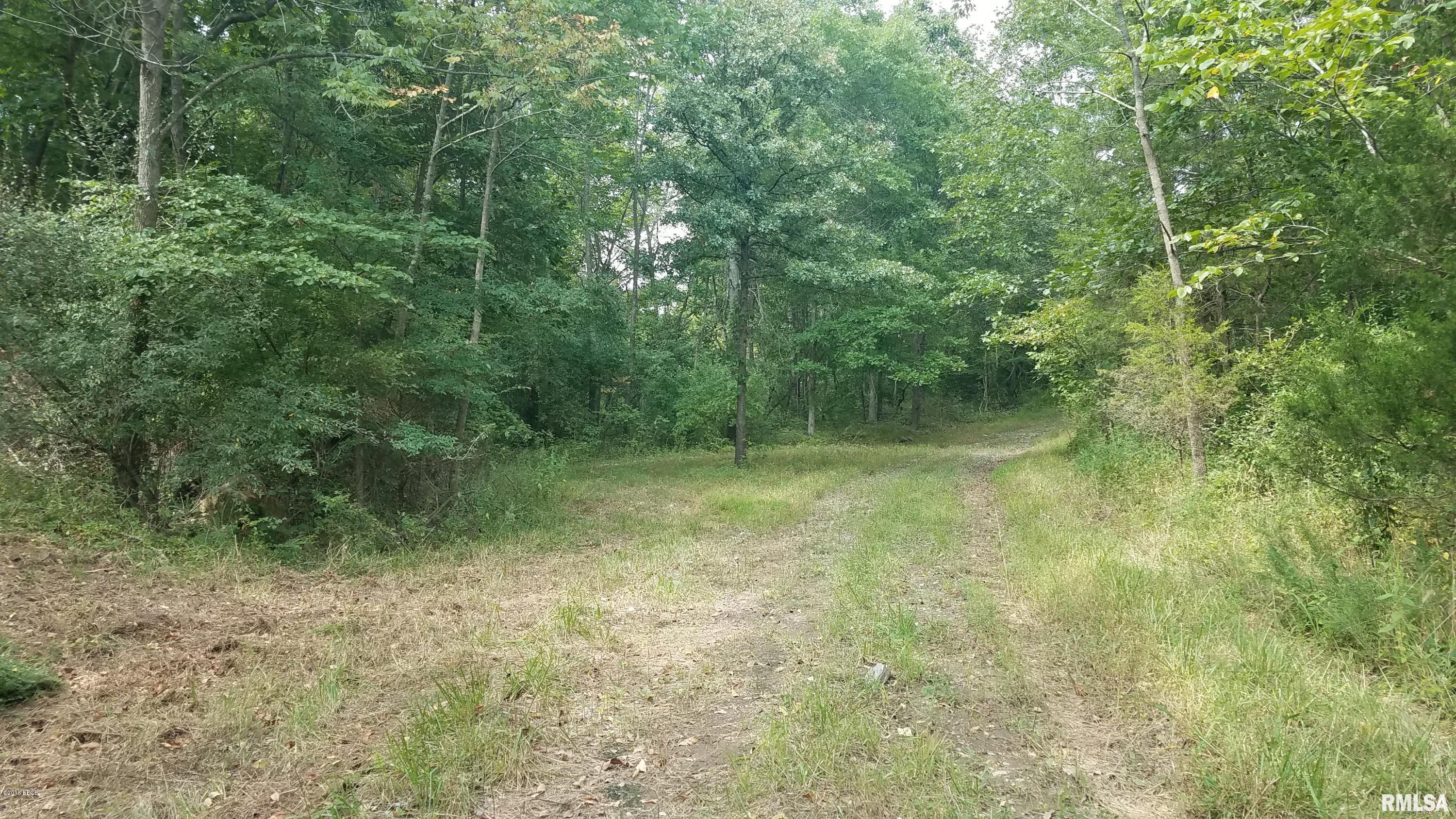 0 Buffalo Lick Road Marion, IL 62959 - Photo 6 of 12