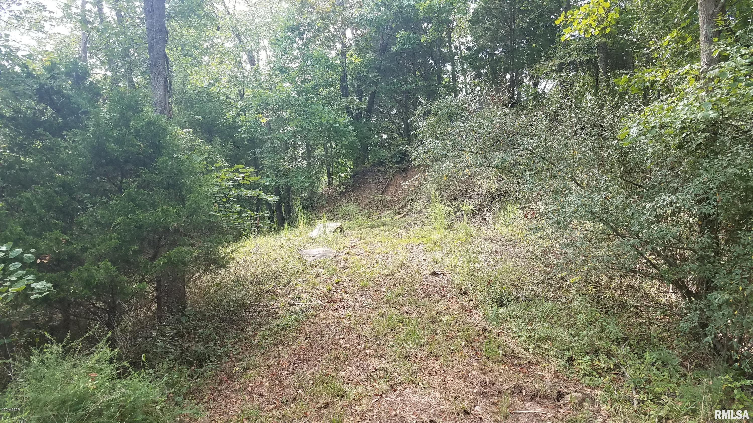 0 Buffalo Lick Road Marion, IL 62959 - Photo 8 of 12